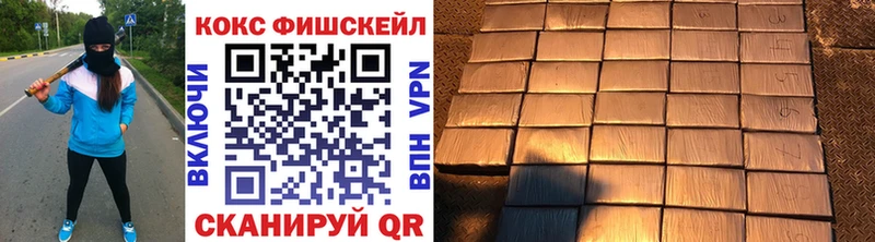 Cocaine FishScale  где купить наркотик  Аргун 