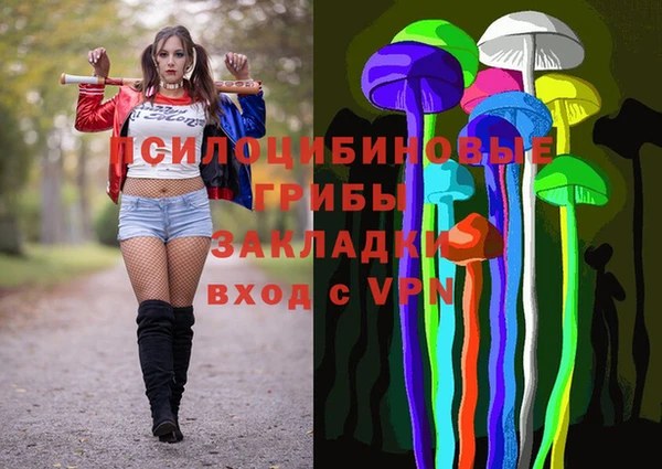 хмурый Алексин