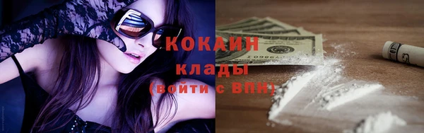 хмурый Алексин