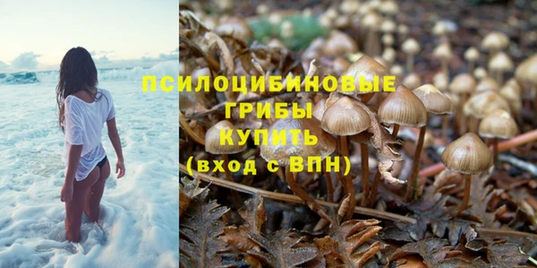 хмурый Алексин