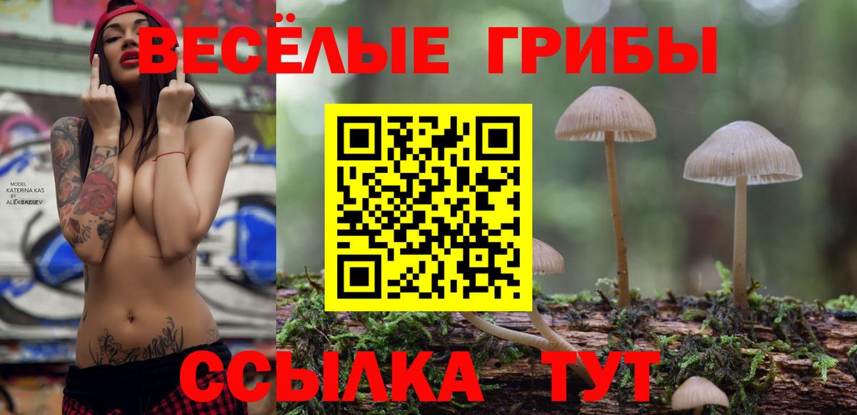 Галлюциногенные грибы мицелий  Галлюциногенные грибы Cubensis  Аргун  Вход с VPN 